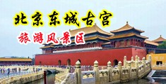 美女裸体扣骚穴中国北京-东城古宫旅游风景区